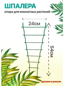 шпалера для комнатных растений