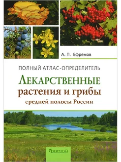 Лекарственные растения и грибы средней полосы России