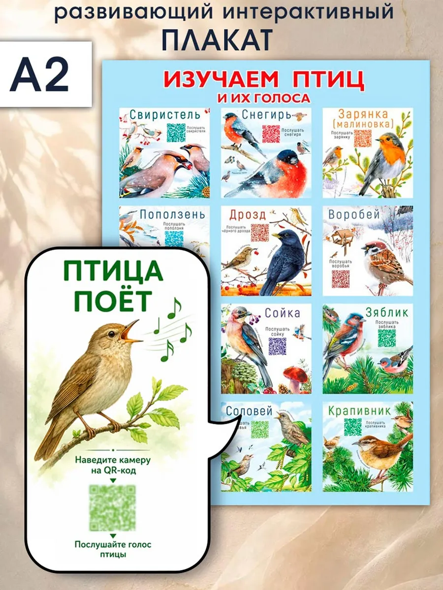 Обучающий детский плакат Птицы А2