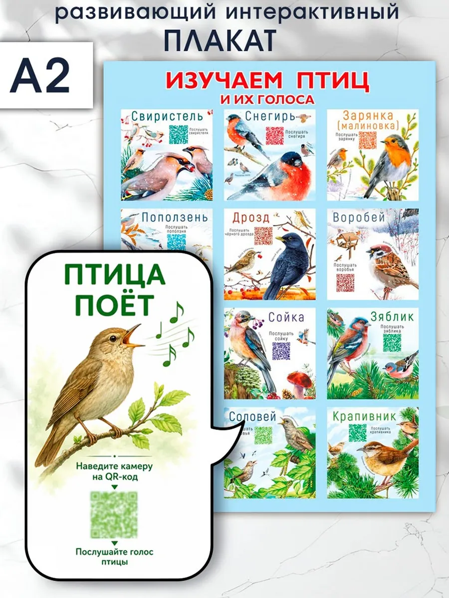 Плакат для изучения птиц в детский сад , школу