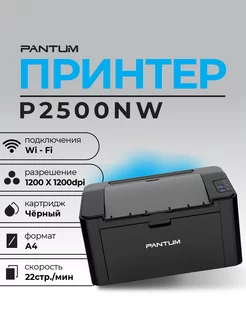 Принтер P2500NW WiFi LAN