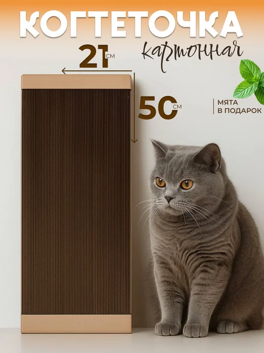когтеточка