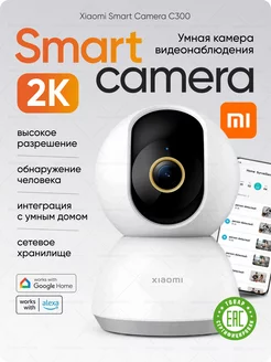 Камера видеонаблюдения Smart Camera C300