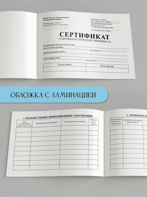 Фотокнига34 Сертификат прививок для детей А6 в школу садик, серый, фото 3