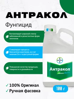 Фунгицид Антракол 100 г BAYER 249182888 купить за 342 ₽ в интернет-магазине Wildberries