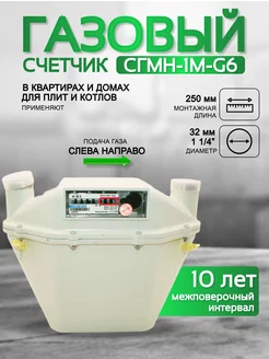 Счетчик газа СГМН-1М-G6 250 мм левый