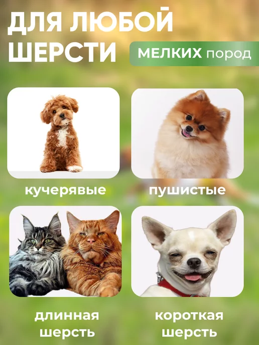 Всё для стрижки Машинка для стрижки домашних животных беспроводная, черный, фото 3