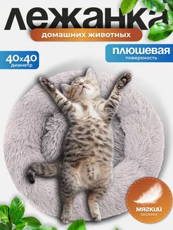 Лежанка для кошек