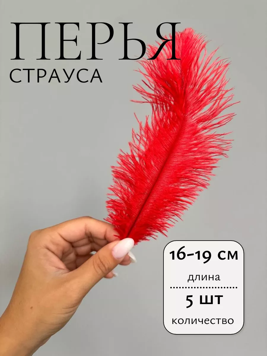 Перья страуса