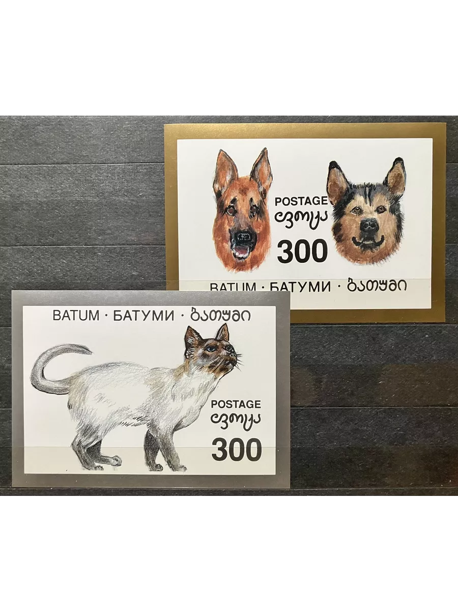 Батуми 1994, Фауна. Кошки и...