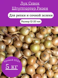 Лук севок на посадку Штуттгартер Ризен лучок-пучок 249464557 купить за 999 ₽ в интернет-магазине Wildberries