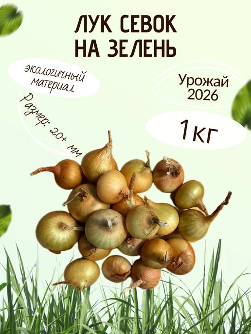 Зеленый мир Лук севок для посадки на зелень Стурон, зеленый