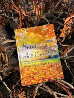 Книга Верни себе свое сердце