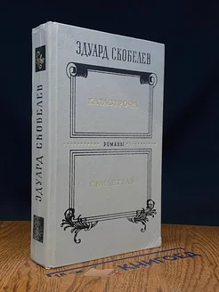 Катастрофа. Свидетель