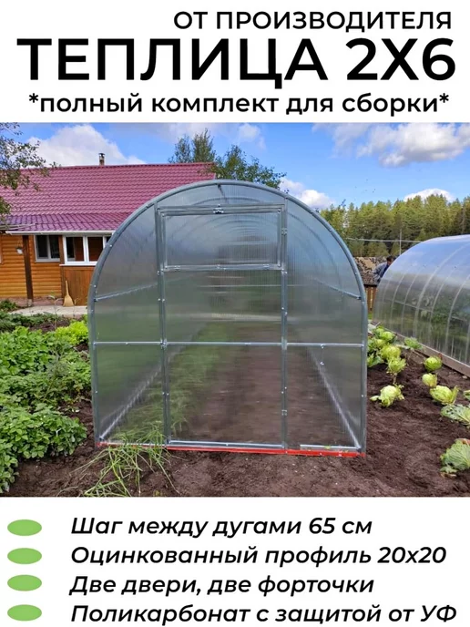Оцинковочка Теплица Арочная дуги 20 на 20 шаг 65 см 6х2х2.02м, 6x2x2.02 м
