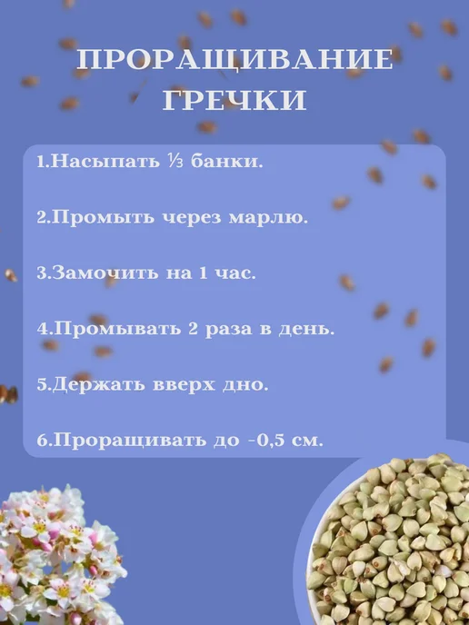 Алтайские Культуры Зелёная гречка 1 кг, 1 кг, фото 2