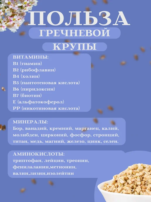 Алтайские Культуры Зелёная гречка 1 кг, 1 кг, фото 3