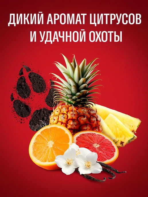 Old Spice Гель для душа мужской 3в1 Wolfthorn, 1000 мл, 1 л, фото 4