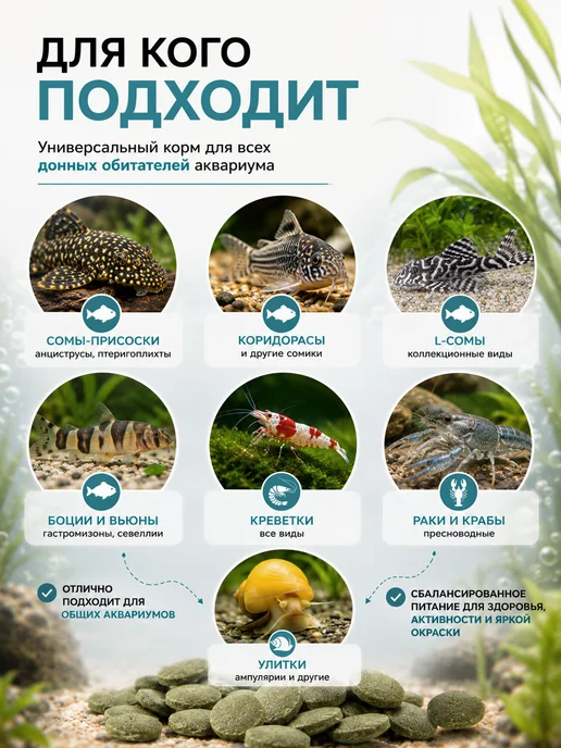 AQUAMENU Корм для сомов, креветок и улиток ГСК Фитотабс таблетки 50 г, 50 г, фото 2