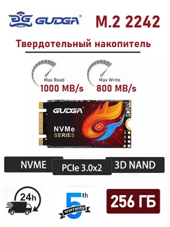 GUDGA Внутренний SSD диск 256 ГБ NVMe M.2 2242