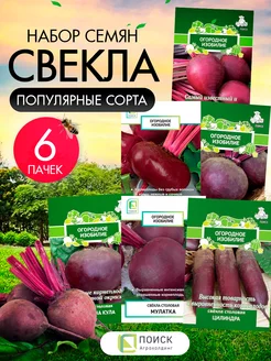 Семена свеклы сладкой - 6 шт