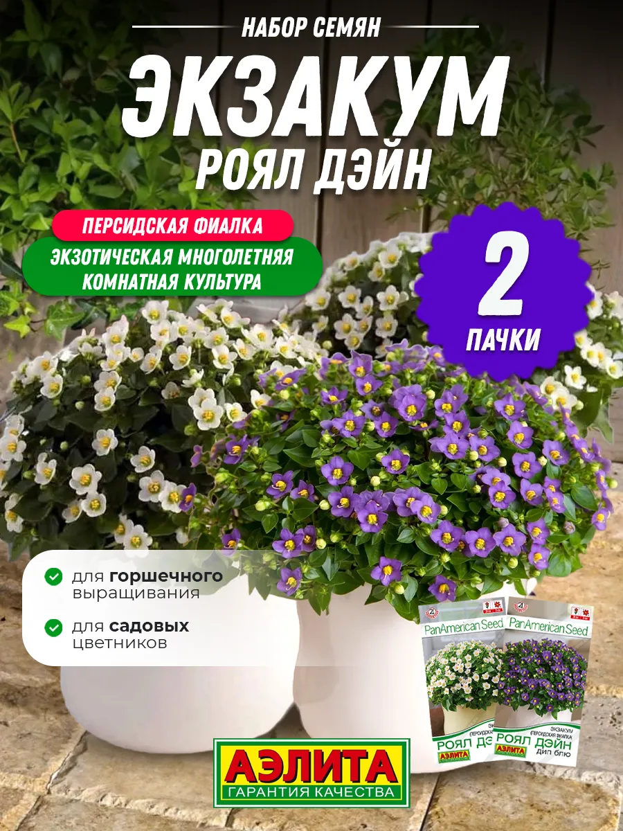 Семена цветов Экзакум...