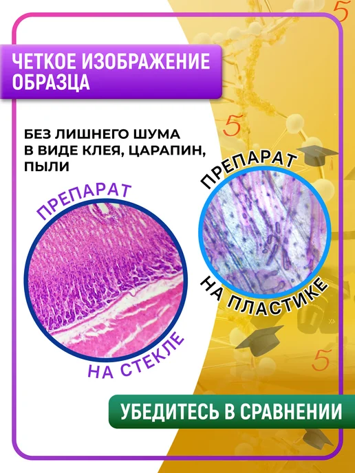 БИОКЛАСС Образцы для микроскопа препараты на стекле, вариант, фото 2