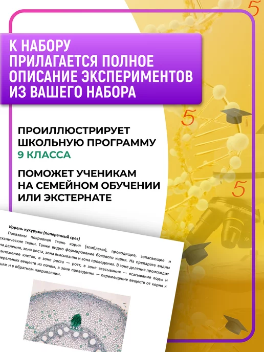 БИОКЛАСС Образцы для микроскопа препараты на стекле, вариант, фото 5