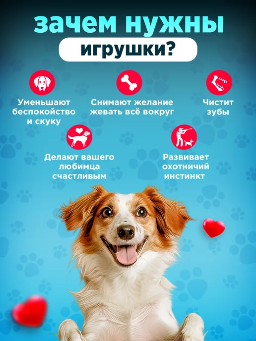 Tooth for tooth Мягкая интерактивная игрушка для собак сланец, зеленый, фото 3