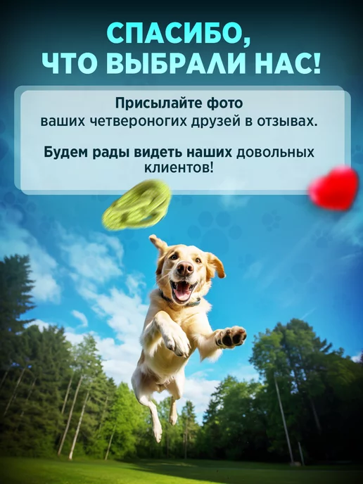 Tooth for tooth Мягкая интерактивная игрушка для собак сланец, зеленый, фото 6