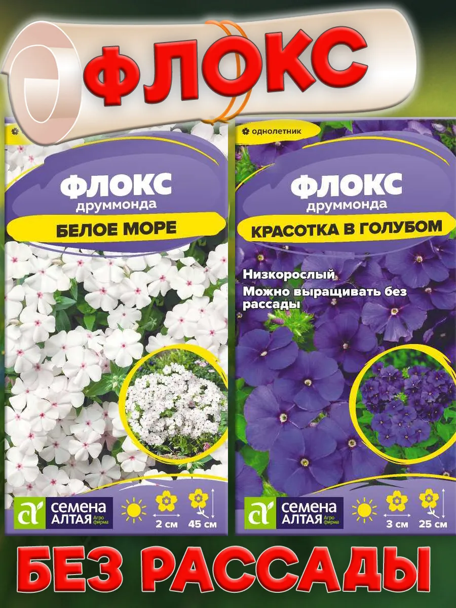 Семена цветов Флокс...