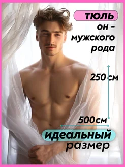 Тюль вуаль 500*250