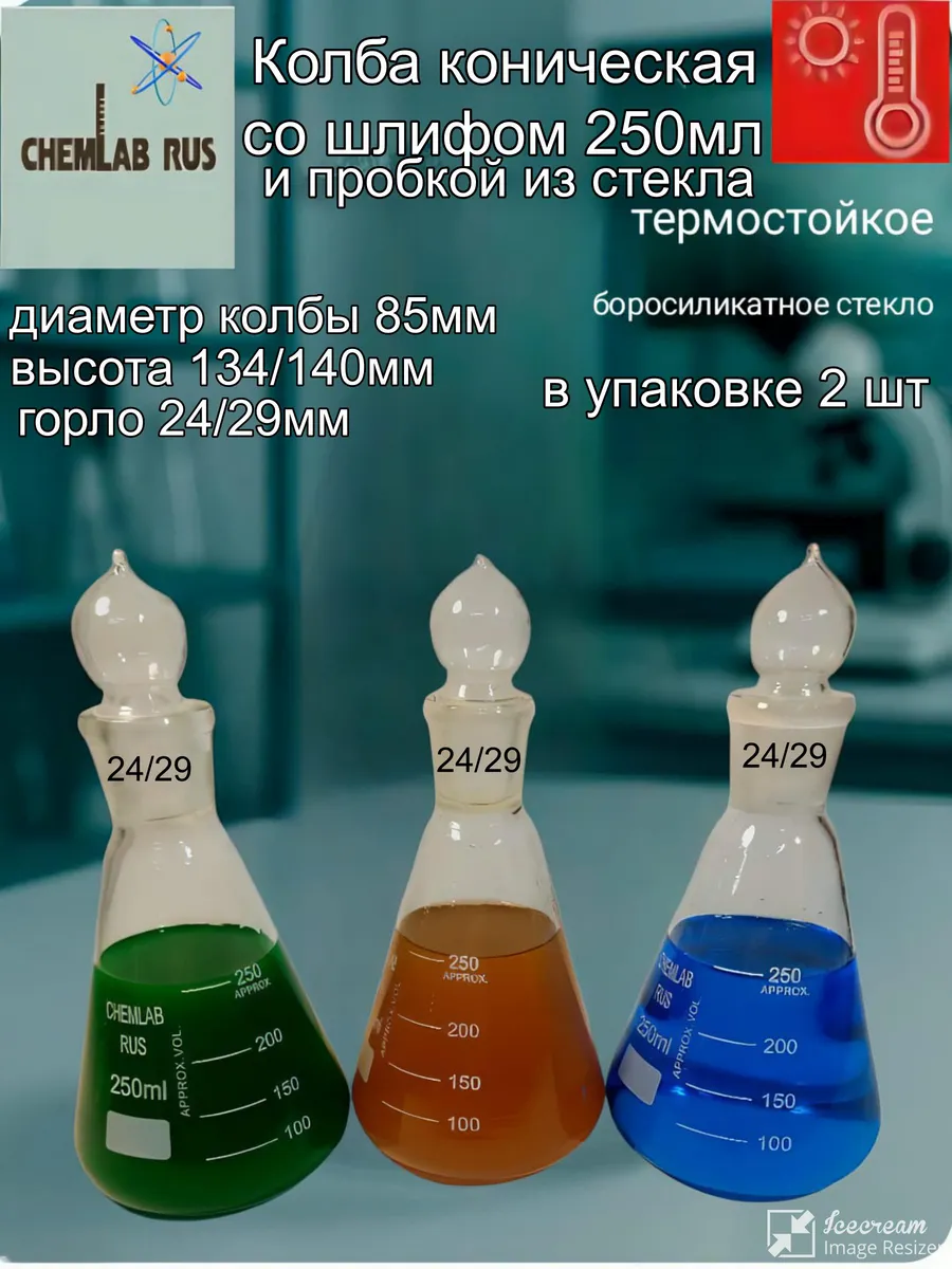 Колба коническая 250 мл 2шт со шлифом и горловиной 24/29 мм