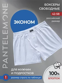 Трусы семейные хлопок боксеры PANTELEMONE 249960835 купить за 472 ₽ в интернет-магазине Wildberries