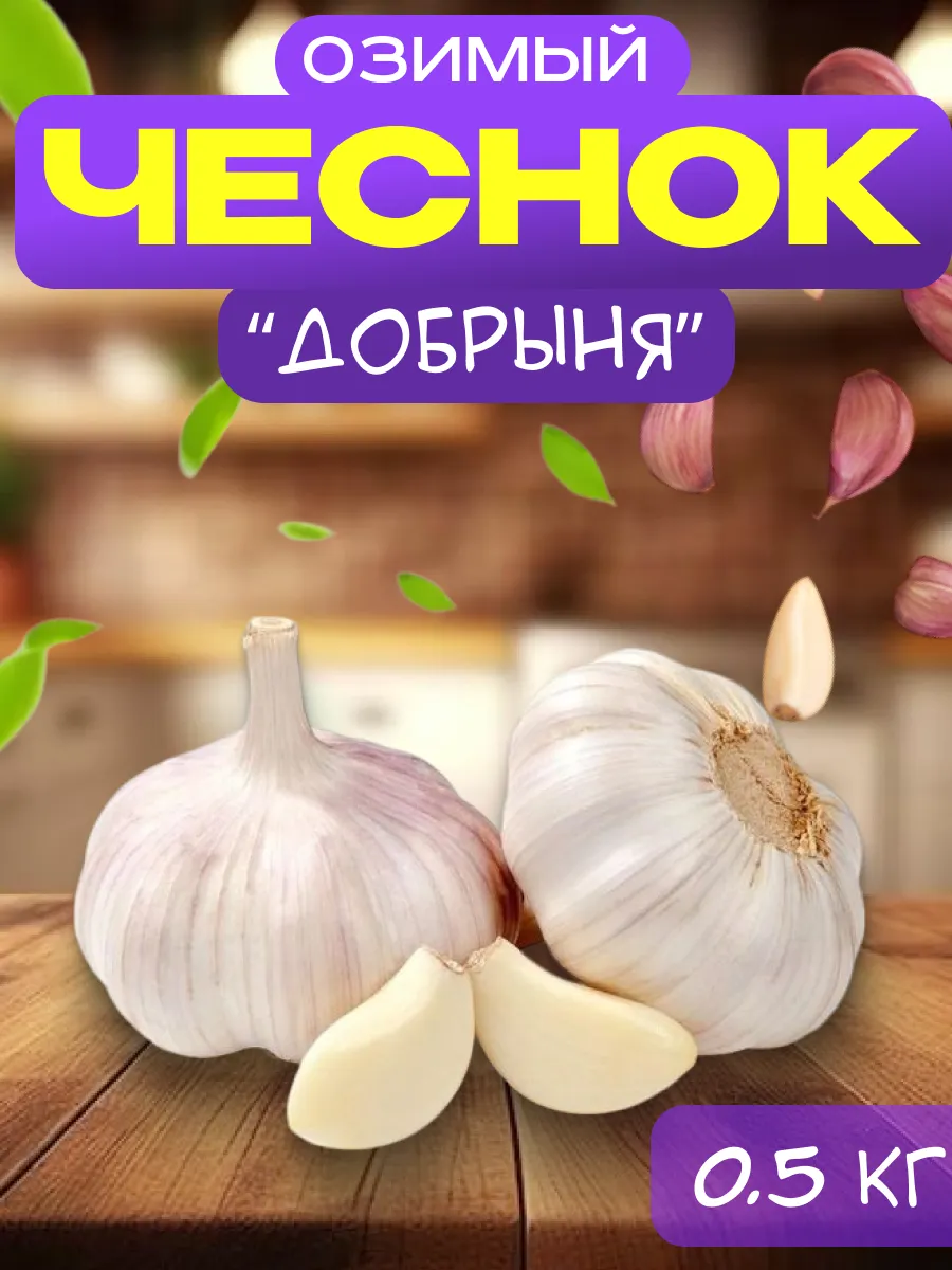 Чеснок Озимый сорт Добрыня