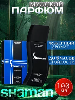 Туалетная вода Shaman мужская 100 мл