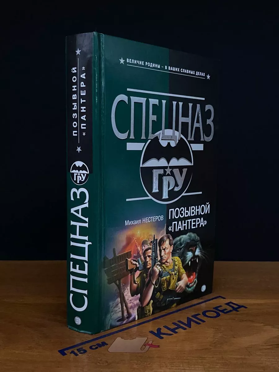 Позывной Пантера