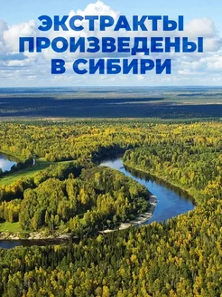 Kavkazda toy kechasi porno video