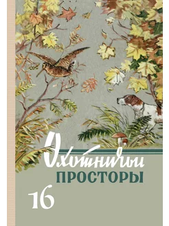 Охотничьи просторы. Книга 16 (репринтное издание)