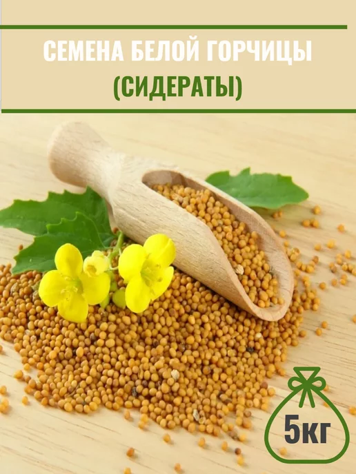 СадОптТорг Горчица белая семена сидерат, медонос, микрозелень 5кг, 5 кг
