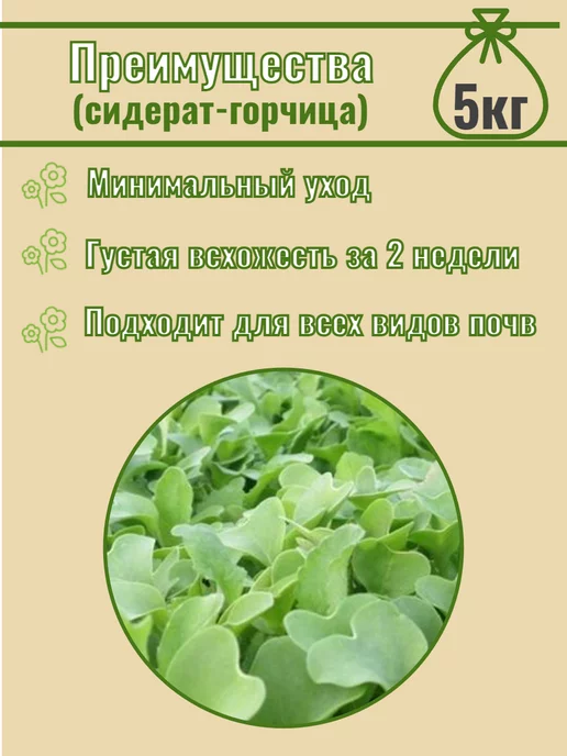 СадОптТорг Горчица белая семена сидерат, медонос, микрозелень 5кг, 5 кг, фото 3