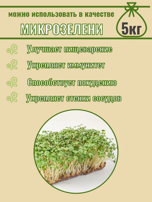 СадОптТорг Горчица белая семена сидерат, медонос, микрозелень 5кг, 5 кг, фото 4