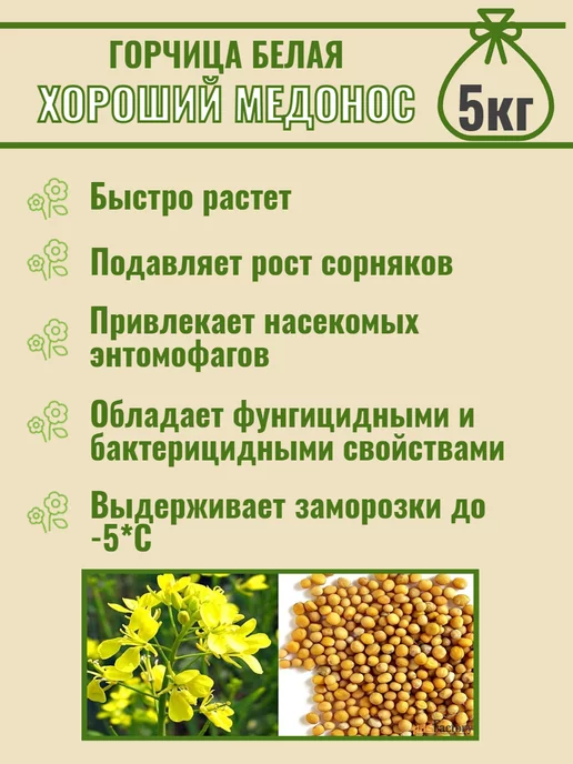 СадОптТорг Горчица белая семена сидерат, медонос, микрозелень 5кг, 5 кг, фото 5