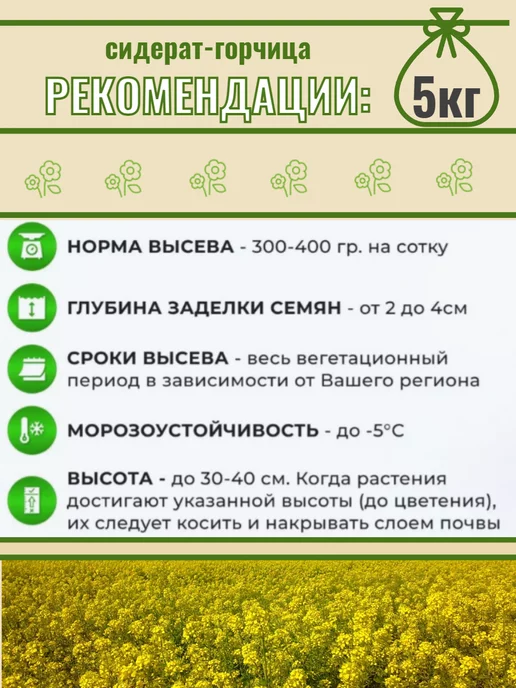 СадОптТорг Горчица белая семена сидерат, медонос, микрозелень 5кг, 5 кг, фото 6