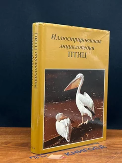 Иллюстрированная энциклопедия птиц