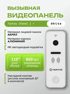 Вызывная видеопанель iPanel 2 (White)+