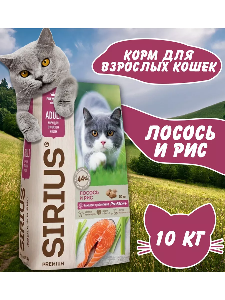 Сухой корм Лосось и рис для...