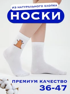 Носки с капибарой