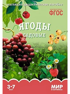 Ягоды садовые. Наглядно-дидактическое пособие. 3-7 лет