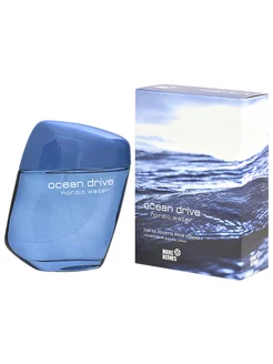 Туалетная вода мужская Ocean Drive Nordic Water 100мл Positive Parfum 250484594 купить за 451 ₽ в интернет-магазине Wildberries